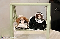 VBS_5850 - Le bambole di Rosanna